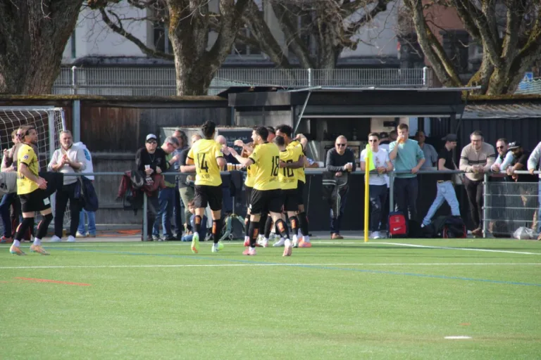 Highlights FC Breitenrain-FCS